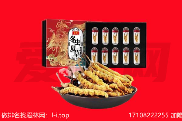 阳江回收虫草.jpg